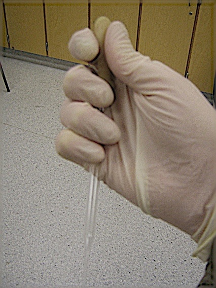 Proper Pipette Holding - The bottom three fingers hold the bulk of the weight.